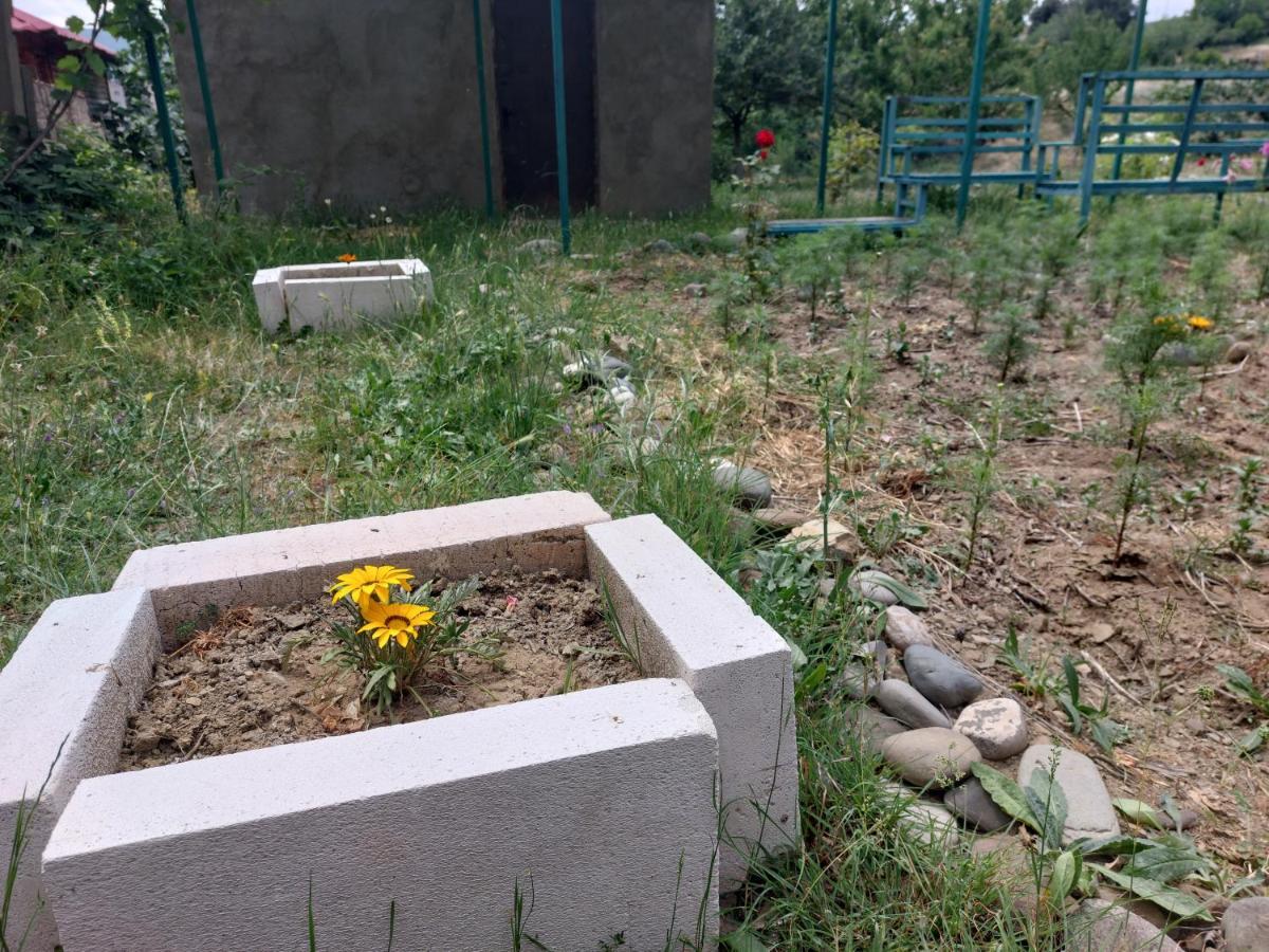 Green House In Vazisubani Tbilisi Zewnętrze zdjęcie